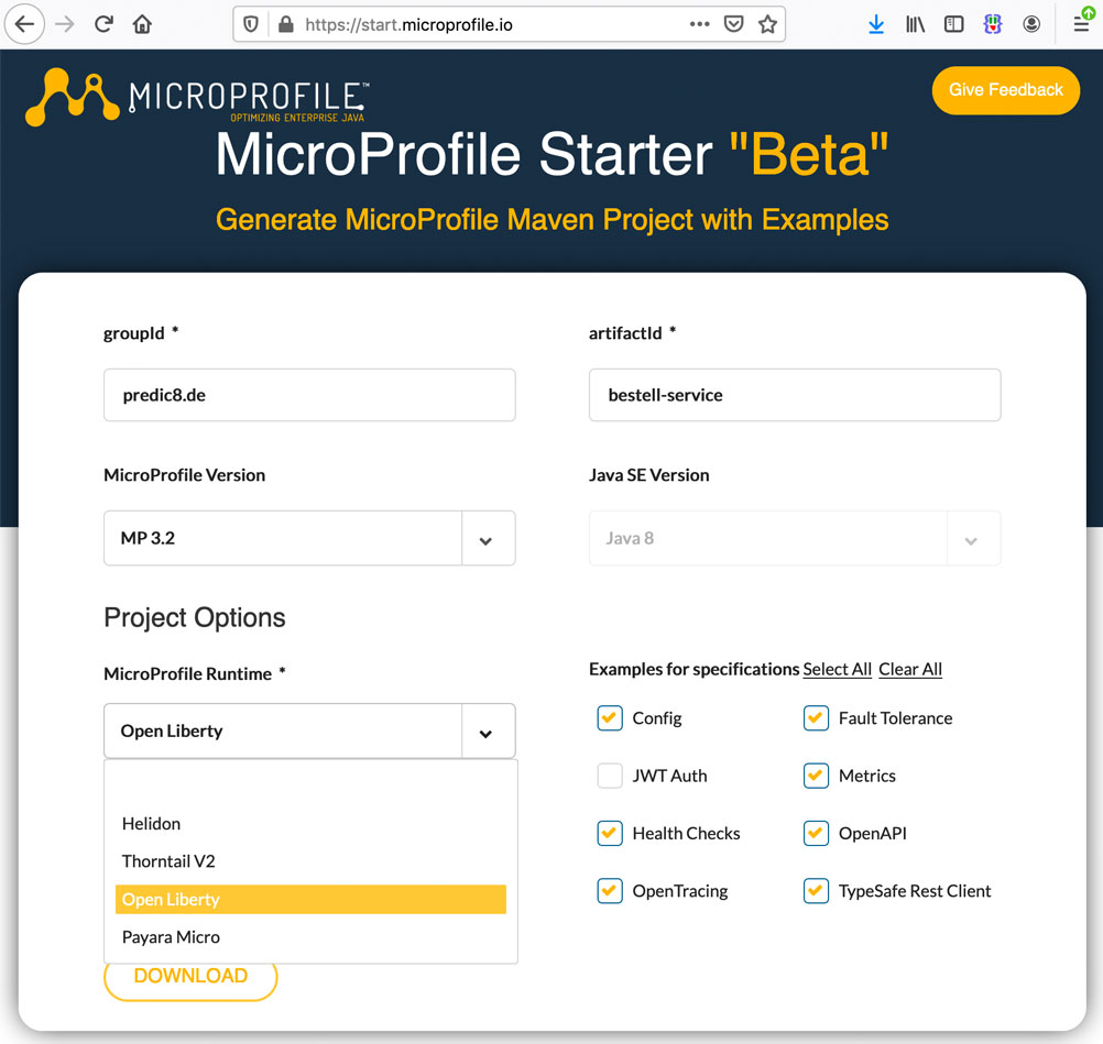 Formular für die Konfiguration eines Starter Projektes für ein MicroProfile Projekt