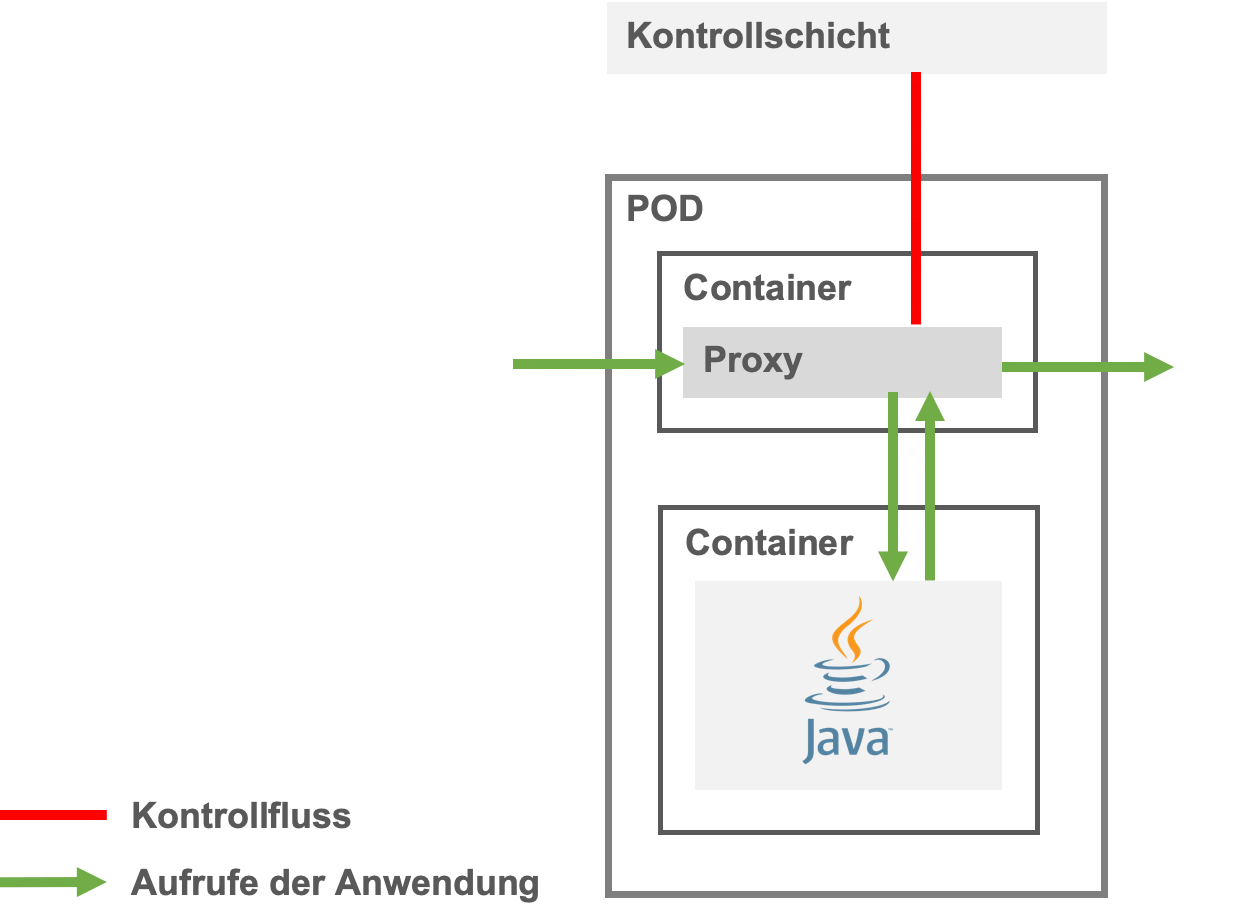 Pod-Injection: Pod mit Istio