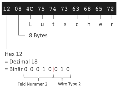 Codierung eines protocol buffer Feldes